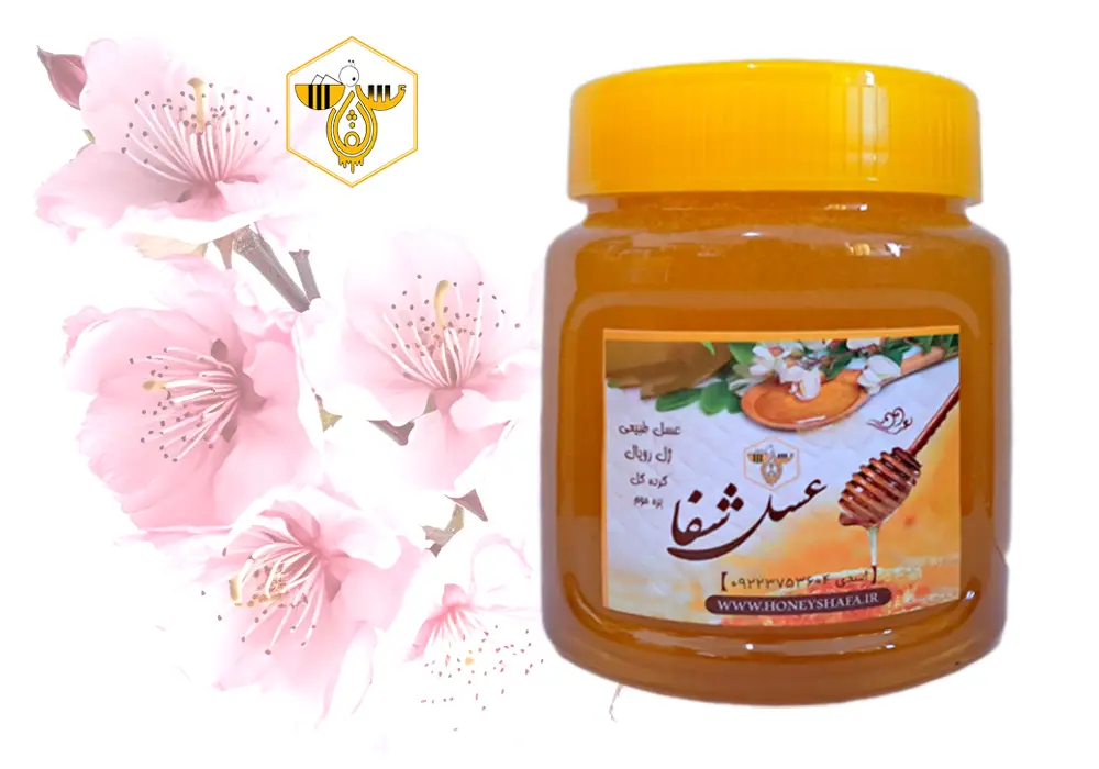 ژل رویال و عسل طبیعی (10 گرم در نیم کیلو)